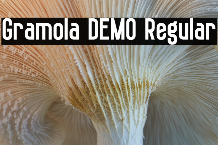 Gramola DEMO Regular Example 2