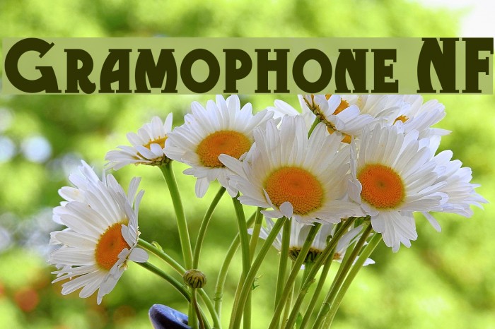 Gramophone NF Font examples