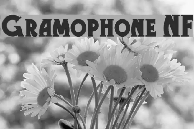 Gramophone NF フォント examples