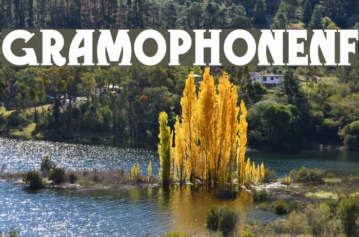 GramophoneNF Font examples