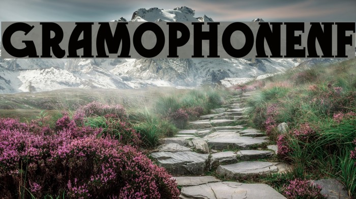 GramophoneNF Font examples