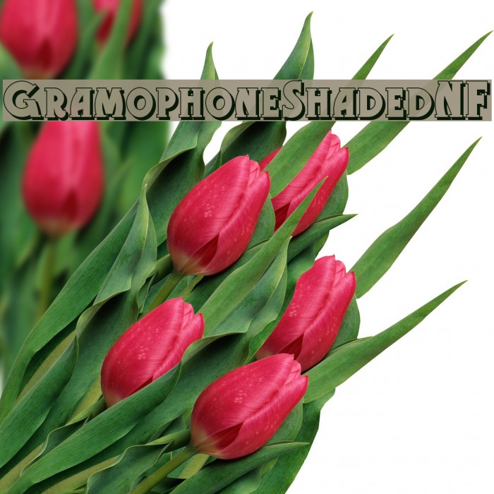 GramophoneShadedNF Font examples