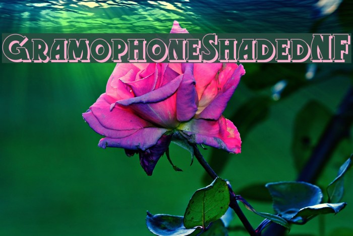 GramophoneShadedNF Font examples