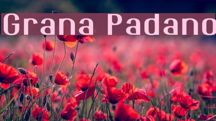 Grana Padano Font examples