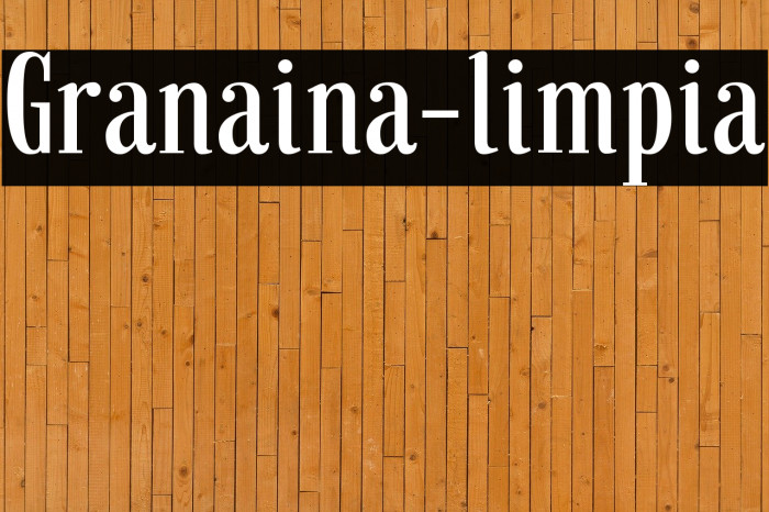 Granaina-limpia Example 1