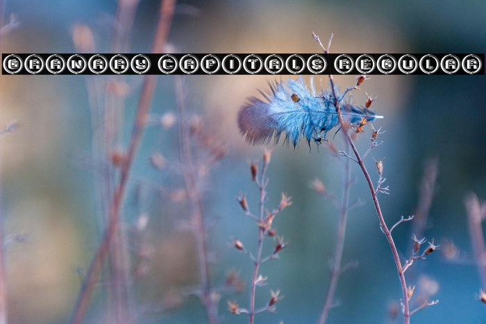 Granary Capitals Regular Example 2