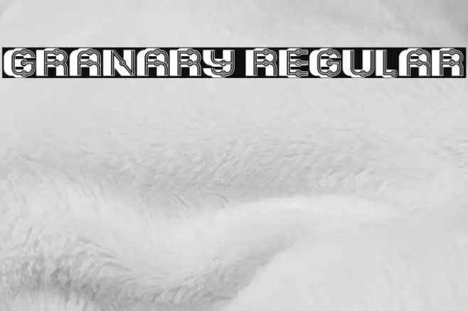 Granary Regular Font examples