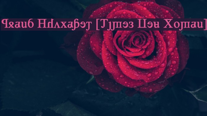 Grand Alphabet [Times New Roman] Example 1