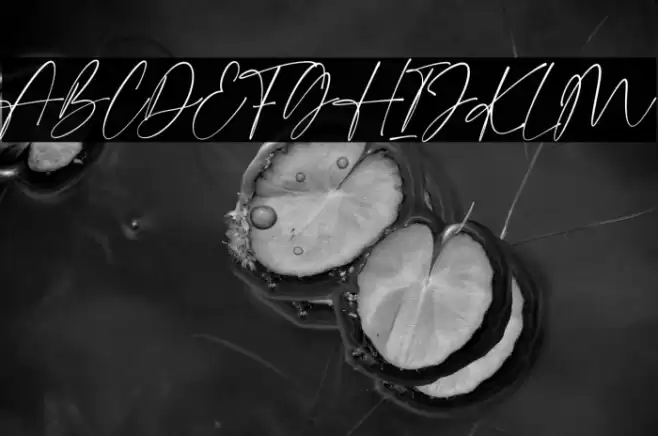 Grand Astoria Caratteri examples