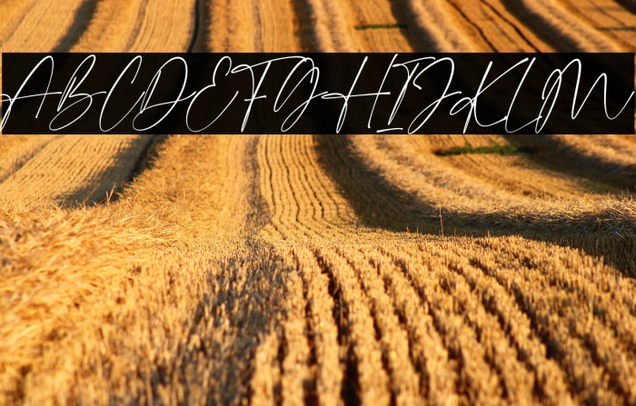 Grand Astoria Example 2