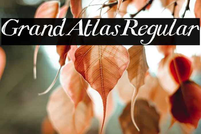 Grand Atlas Regular Example 3