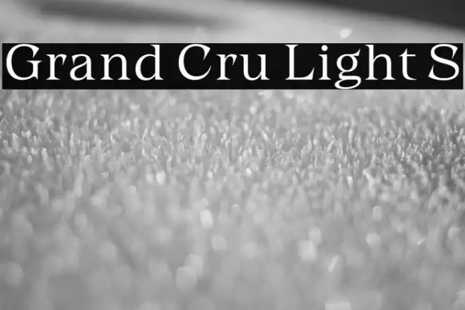 Grand Cru Light S Font examples