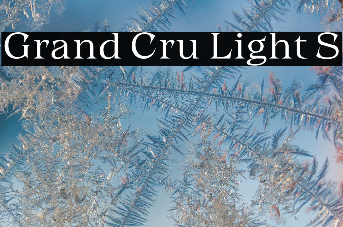 Grand Cru Light S Example 2