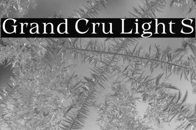 Grand Cru Light S Font examples