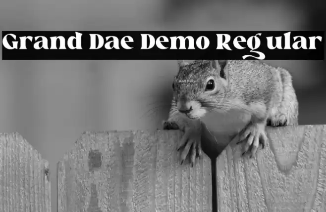 Grand Dae Demo Regular Caratteri examples