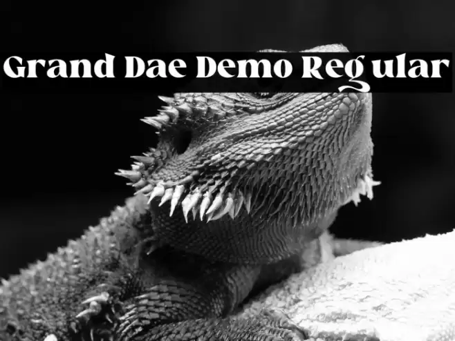 Grand Dae Demo Regular Caratteri examples