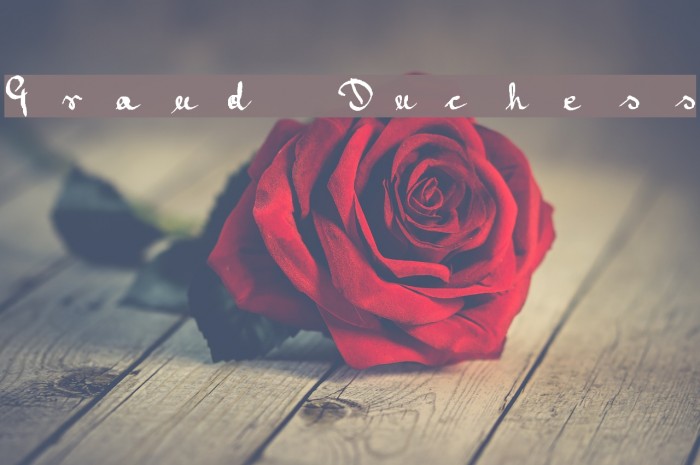 Grand Duchess Font examples