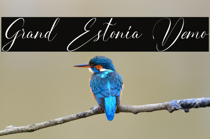 Grand Estonia Demo Example 1