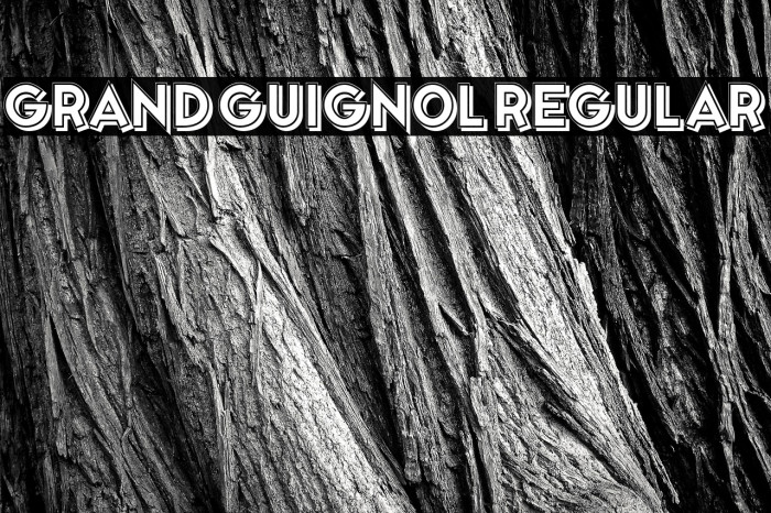 Grand Guignol Regular Example 1