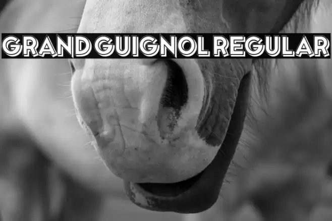 Grand Guignol Regular Font examples