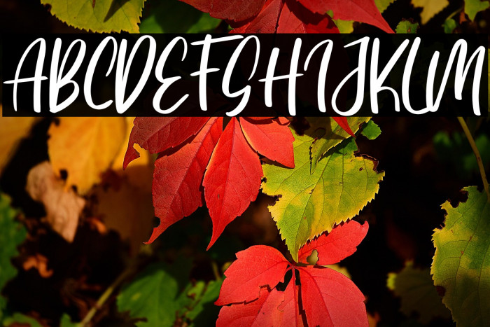 Grand Historia Example 1