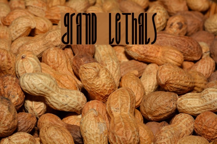 Grand Lethals Font examples