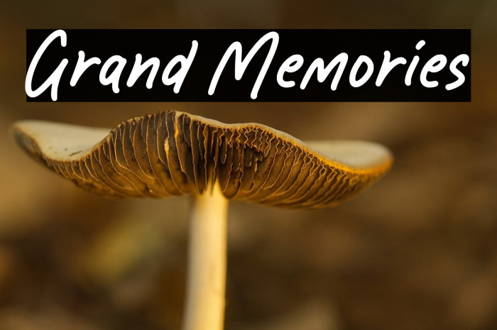 Grand Memories Example 3