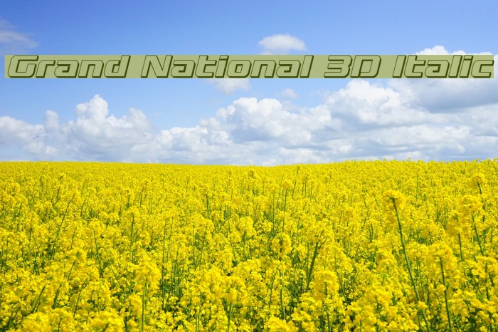 Grand National 3D Italic Font examples