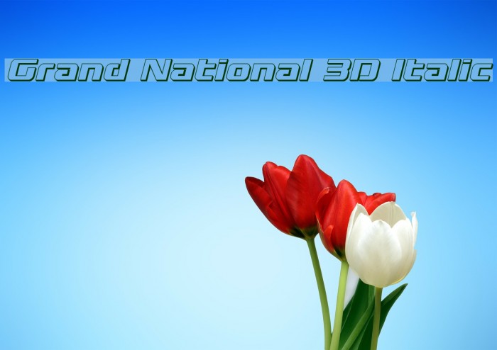 Grand National 3D Italic Font examples