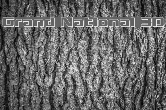 Grand National 3D Font examples