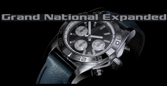 Grand National Expanded Example 3