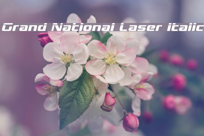 Grand National Laser Italic Example 3