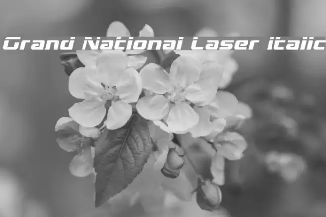 Grand National Laser Italic Font examples