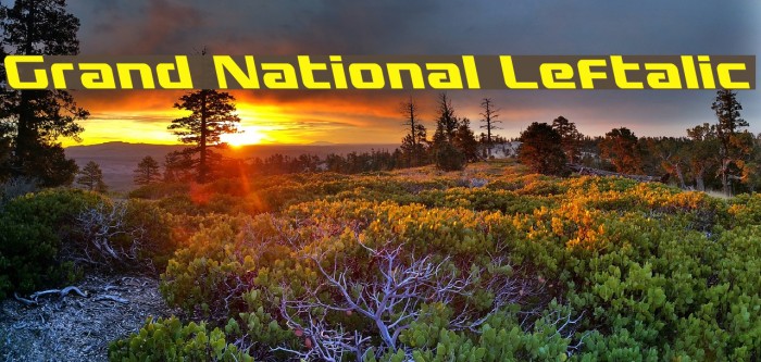 Grand National Leftalic Font examples