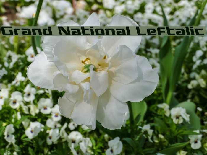 Grand National Leftalic Font examples