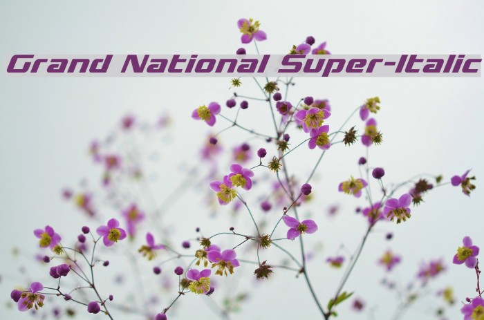 Grand National Super-Italic Font examples