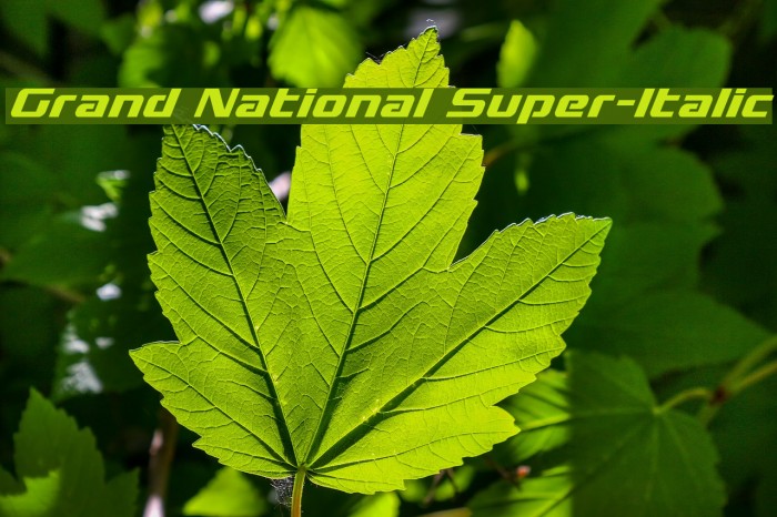Grand National Super-Italic Font examples