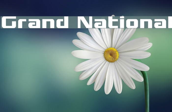 Grand National Font examples