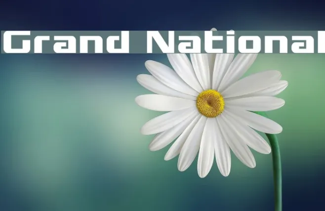 Grand National Example 3