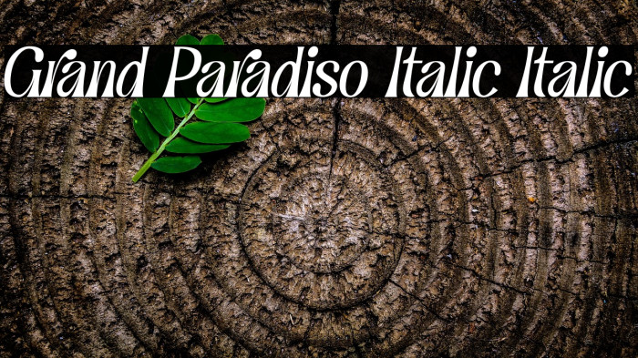 Grand Paradiso Italic Italic Example 2