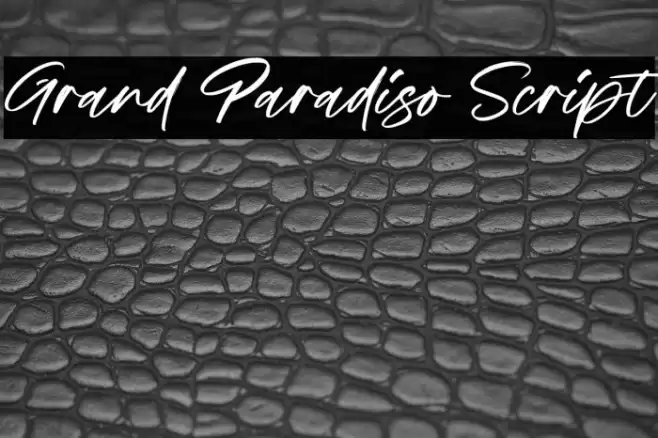 Grand Paradiso Script Fuentes examples