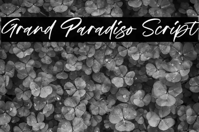 Grand Paradiso Script Fuentes examples