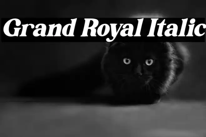 Grand Royal Italic Font examples
