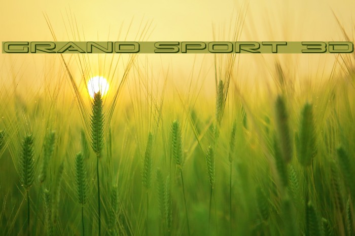 Grand Sport 3D Example 3