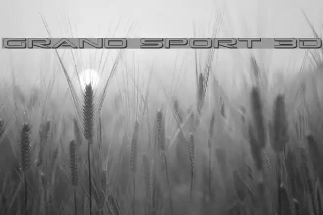 Grand Sport 3D Font examples