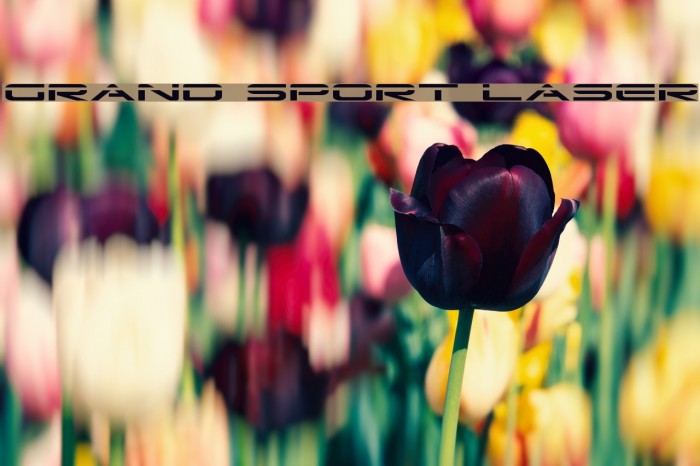 Grand Sport Laser Шрифта examples