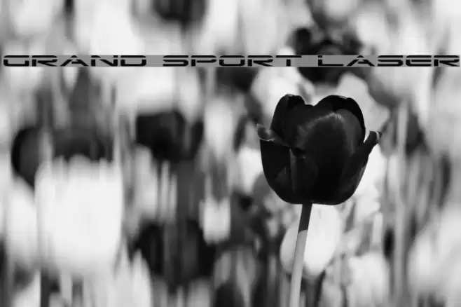 Grand Sport Laser Font examples