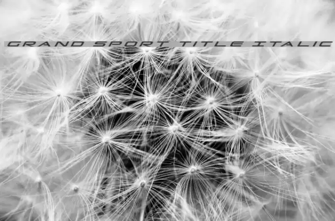 Grand Sport Title Italic Font examples