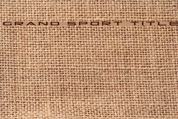 Grand Sport Title Font examples