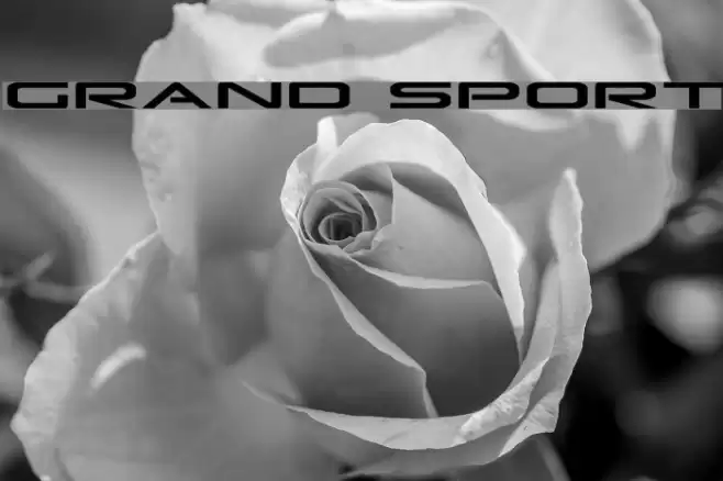 Grand Sport Font examples